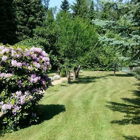 Ferienwohnung Im Waldhauschen *